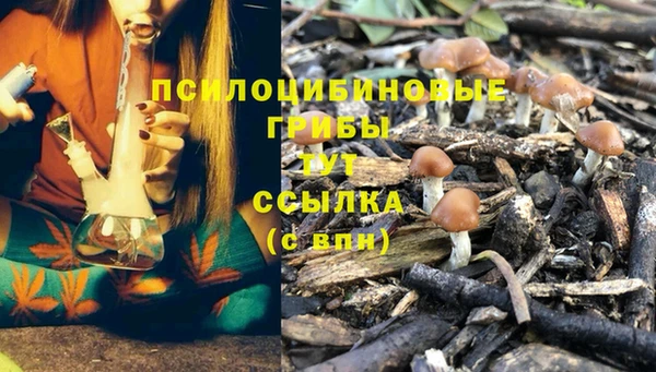 соль курить ск Балабаново